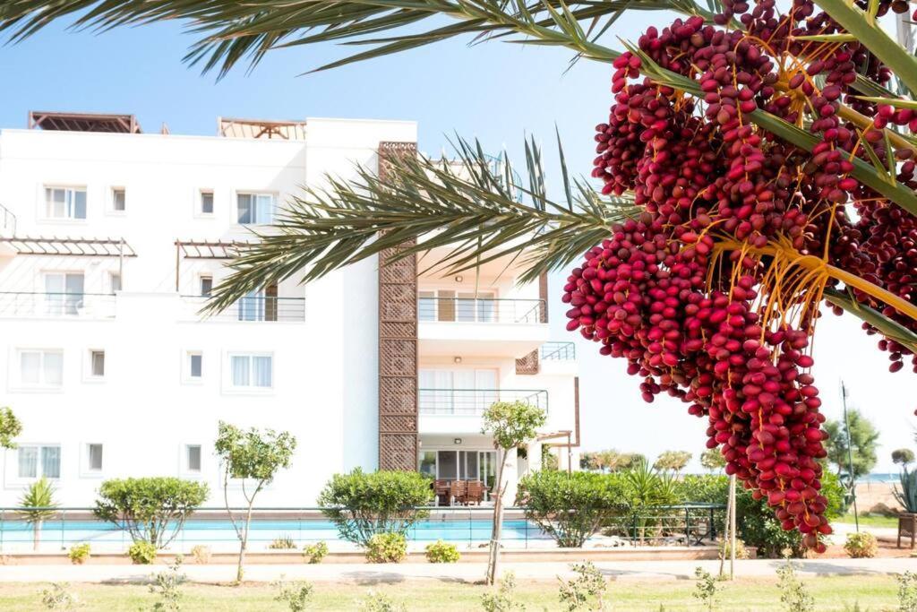 Private Beach Resort Cyprus Vokolidha 외부 사진